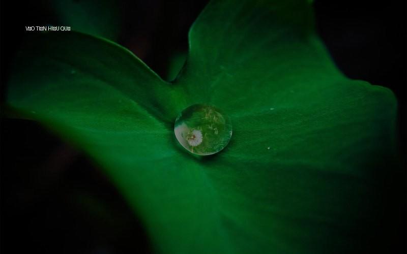 Vào tiền hiệu quả
